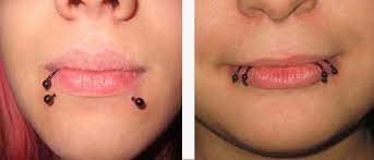 Two piercings just under the bottom lip: Snakebites Piercing Lippen Westend Tattoo Piercing Wien