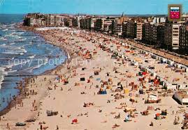 Hel(t) lejlighed med elke som vært. Ak Ansichtskarte Knokke Heist Albertstrand Knokke Heist Nr Kp69382 Oldthing Ansichtskarten Westvlaanderen