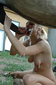 Horse cum gif asian - cum.news
