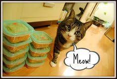 Cat Food Questions Recipes For Cat Food Cats With Kidney Stones Cats With Renal Disease Recipes Homemade Cat Food Cat Food Cat Nutrition