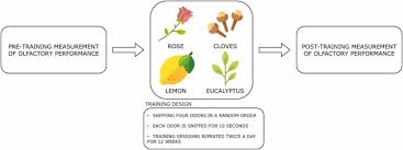 Image result for Olfactory Training