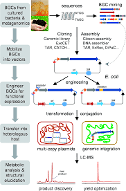 Heterologous Expression Of Bacterial Natural Product Biosynthetic Pathways Natural Product Reports Rsc Publishing Doi 10 1039 C8np00091c