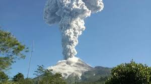 Terlihat pohon sakura yang sedang berbung. Gunung Merapi Kembali Meletus