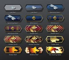 As medalhas de serviço para 2017 já estão prontas! Cs Go Entenda O Novo Rank De Danger Zone Modo Battle Royale Esports Techtudo
