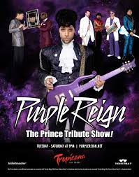 Purple Reign - World's #1 Prince Tribute Show.