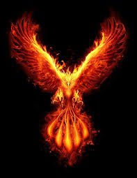 5 the phoenix bird, dost thou not know him? Burning Phoenix Phoenix Tattoo Phoenix Bird Art Phoenix Artwork