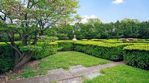 For winter interest try ornamental cabbages and pansies. Roosevelt Memorial Park Cemetery