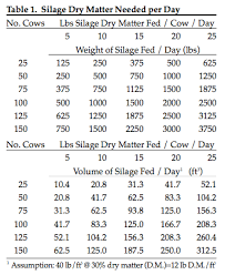 Drive Over Silage Pile Construction Team Forage