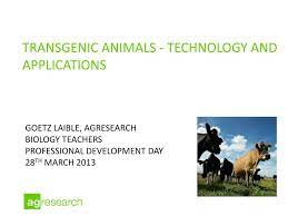 Ppt Transgenic Animals Technology And Applications Powerpoint Presentation Id 1984736