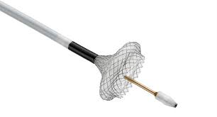 The axios stent creates an anastomotic conduit. Boston Scientific Launches Axios Stent And Electrocautery Enhanced Delivery System Medical Product Outsourcing
