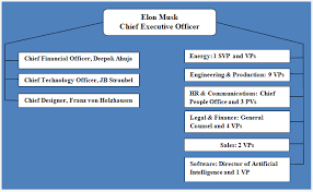 tesla organizational structure divisional and flexible