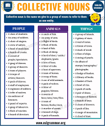 Collective Nouns Definition Useful List And Examples Esl Grammar In 2020 Collective Nouns Nouns Grammar Learn English Words