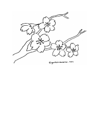 Gambar mewarnai bunga sakura terbaru. 20 Ide Sketsa Bunga Sakura Hitam Putih Asiabateav