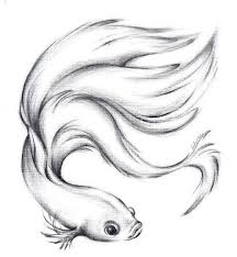 Contoh Gambar Ilustrasi Ikan Cupang Kumpulan Sketsa Gambar Ikan Koi Lumba Lumba Hias Lengkap Ikan Cupang Ca Di 2020 Menggambar Dengan Pensil Gambar Hewan Sketsa