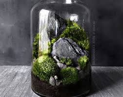 Woodland Garden Terrarium Avec Maison Miniature Et Fleuron De Etsy Moss Garden Moss Plant Terrarium