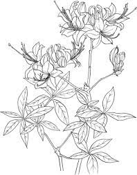Pin On Coloring Pages