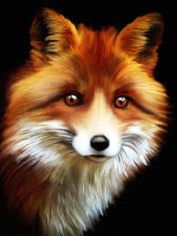 Pin By Cyndi Crisel On Digital Painting Fox Art Fox Artwork Animal Drawings