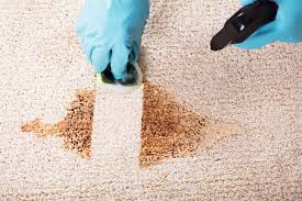 How to get rid of vomit smell from upholstery: How To Clean Vomit From Carpet 7 Tips You Need To Know