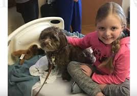 A single, isolated seizure is rarely dangerous; 7 Year Old Girl With Brain Tumor Wants Letters From Your Dog