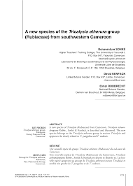 Image result for Tricalysia sp. E