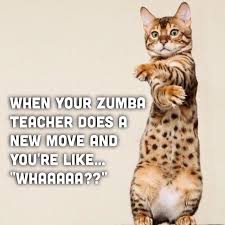 Check spelling or type a new query. Best Health And Fitness Quotes When Your Zumba Teacher Does A New Move And You Re Like Whaaaa Zumba Hu Omg Quotes Your Daily Dose Of Motivation Positivity Quotes
