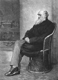 Darwin is a small yet cosmopolitan city. Darwin A Life The New Yorker