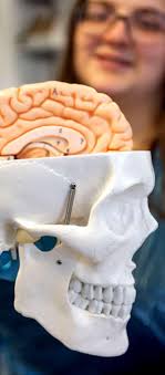 Mind and Body Issue 2 by Bangor University