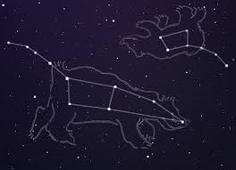 Image result for ursa minor