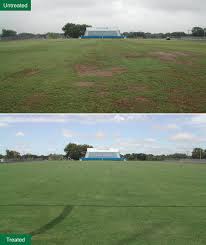 Liquid Lawn Fertilizer Aerator Dethatcher Soil Conditioner