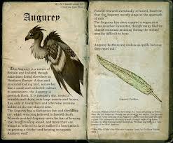 The Augurey Page 11 Harry Potter Creatures Harry Potter Harry Potter Printables