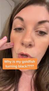 Goldfish Turning Red