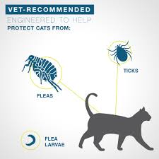 Maybe you would like to learn more about one of these? Seresto Flea And Tick Prevention Collar For Cats 8 Month Flea And Tick Prevention Walmart Com Walmart Com