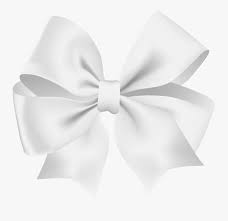 Download White Tiffany Bow Svg