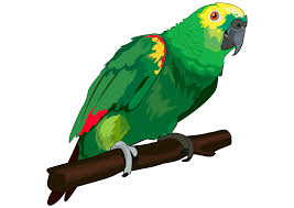 Resultado de imagen para loro