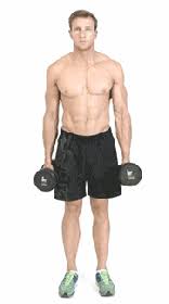Stand up straight with the dumbbells by your sides. Alternating Standing Hammer Dumbbell Curls Dumbbell Curls Dumbbell Bodybuilding Workouts