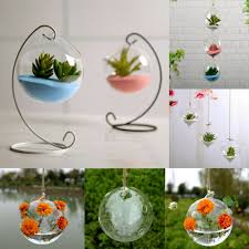 Terrarium Decor Terrarium Decor Ideas Terrarium Decor Terrarium Decor Terrarium Decor Glass Planter Hanging Vases