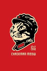 Ignore Soviet Bear Only True Way To Upvotes Cat Posters Matchbox Art Star Wars Wallpaper