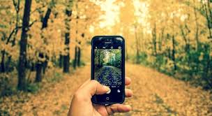 Baume Zitate Spruche Und Weisheiten Weise Wortwahl