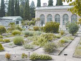Jardin Des Plantes De Montpellier Montpellier Botanischer Garten Garten