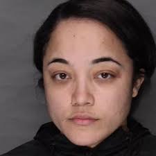 'Wild' 11-year-old Pennsylvania boy found 'handcuffed to fuel tank in  basement while mom at work'