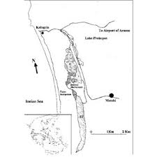Pdf Seed And Cone Diversity And Seed Germination Of Pinus Pinea In Strofylia Site Of The Natura 2000 Network