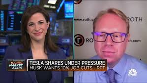 Longer-term demand for Tesla isn't really all that changed, says Roth  Capital's Irwin