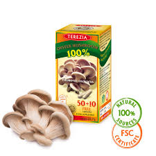 100 Oyster Mushroom 60 Capsules Terezia Eu Food Supplements From Medicinal Mushrooms Terezia Company Health benefits of oyster mushroom. 100 oyster mushroom 60 capsules