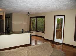 color ideas for kitchen/living room
