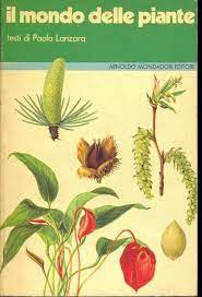 Pubblicato il 7 settembre 20208 ottobre 2020 da giungla urbana. Il Mondo Delle Piante Paola Lanzara Libro Usato Mondadori Guide Pratiche E Manuali Ibs
