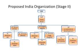 organizational structure chart of flipkart