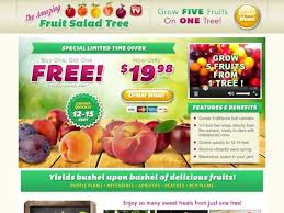 This stone fruit variety is perfect for warmer climates. Fruit Salad Tree Reviews Too Good To Be True