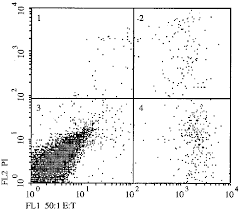 Angle is measured in radians or in degrees. Dual Parameter Dot Plot Fl1 Fitc Fluorescence And Fl2 Pi Download Scientific Diagram