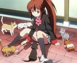 Maybe you would like to learn more about one of these? What Are All Of Rin S Cats That Have Names Anime Manga Stack Exchange