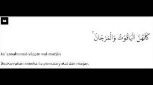 Surat ar rahman memiliki bacaan ayat al quran dengan 3 ruku' yang berada di jus 27. Surah Ar Rahmaan Ayat 58 Qs 55 58 Tafsir Alquran Surah Nomor 55 Ayat 58